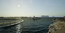 ꡼ No.006Υͥ / Fishingץ꡼Υǥ٥åѤ£ǿShips at Seaס59Steamǥ꡼Ǥ꡼