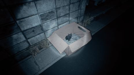 ꡼ No.003Υͥ / ۾︽ݤۤƤ˿ʤषʤ8ֽи饤ΡMayonaka 10 chome - ±ܡס629ȯ