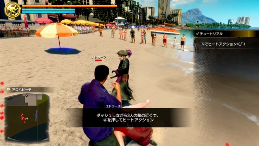 ꡼ No.014Υͥ / ζǡ Pirates in HawaiiTGS 2024ŸСͷƤϯ餷ɶŸɤʤƤ֡TGS2024
