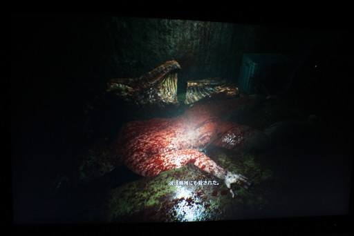 ꡼ No.011Υͥ / ֥롼ƥPS5ǥץ쥤ݡȡʬξʬʤǡĺ줿֤æФߤץåۥ顼TGS2025