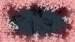 ꡼ No.007 | Winter Burrow