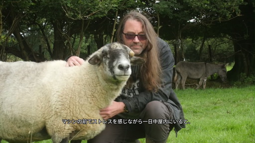 ꡼ No.012Υͥ / Υӥ塼ϡLlamasoft The Jeff Minter Storyפ ȺǸΥǥȡ աߥ󥿡õ롤ΤʤιǤ
