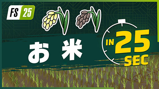 ꡼ No.001Υͥ / Farming Simulator 25סʪ֤ơס֥ɥޥפΥȥ쥤顼ƤĹγƤûγƤ2ݤǤ