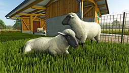 ꡼ No.004Υͥ / Farming Simulator 25סʪ֤ơס֥ɥޥפΥȥ쥤顼ƤĹγƤûγƤ2ݤǤ