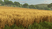 ꡼ No.006Υͥ / ȥߥ졼Farming Simulator 25ס꡼쥢θǽ