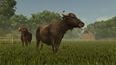 ꡼ No.007Υͥ / ȥߥ졼Farming Simulator 25ס꡼쥢θǽ