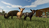 ꡼ No.008Υͥ / ȥߥ졼Farming Simulator 25ס꡼쥢θǽ