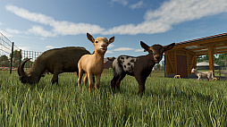 ꡼ No.004Υͥ / Farming Simulator 25ס߷ܿȯ齵200ܤˡ꡼߷ܿ4000ܤã