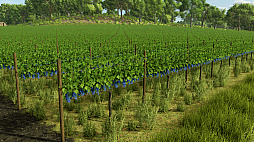 ꡼ No.010Υͥ / Υ󥿥ӥ塼ϿĤƺǽˡ꡼ǿFarming Simulator 25פΥơޤ̥Ϥȯåդʹ