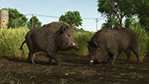 画像ギャラリー No.004のサムネイル画像 / 「Farming Simulator 25」のコンテンツ拡張パック「VREDO Pack」が3月24日に登場。新たなブランドVredoの農機を使用可能に