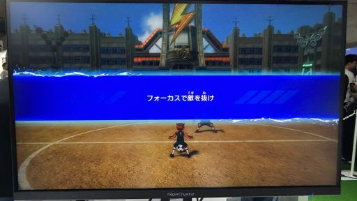 ꡼ No.004Υͥ / ֥ʥޥ֥ ͺΥȥ꡼ɡ׻ͷݡȡ礭ۤʤʬʥץ쥤θ줽TGS2025