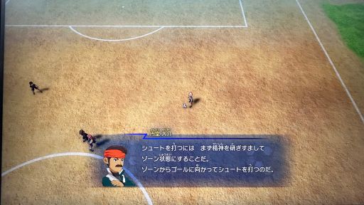 ꡼ No.006Υͥ / ֥ʥޥ֥ ͺΥȥ꡼ɡ׻ͷݡȡ礭ۤʤʬʥץ쥤θ줽TGS2025