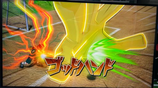 ꡼ No.013Υͥ / ֥ʥޥ֥ ͺΥȥ꡼ɡ׻ͷݡȡ礭ۤʤʬʥץ쥤θ줽TGS2025