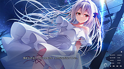 流る星 -a wish star-