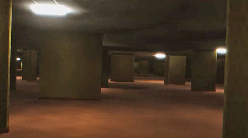 ꡼ No.003Υͥ / Υץ쥤ݡϥХå롼õǤԤȥBackroom Companyס꡼Ǥ˸ͽBIC2024