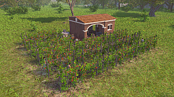 ꡼ No.002 | Pompeii: The Legacy