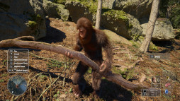 ꡼ No.001Υͥ / ӥåեåȤˤʤ륵ХХ륷Bigfoot Lifeסǿȥ쥤顼ҡ󥰥ưʪŤ륷