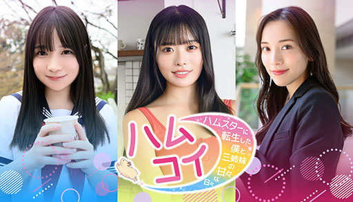 画像ギャラリー No.010のサムネイル画像 / 「ザ・ファブル」初のゲーム化作品や,ハムスターを題材とした「MOCHI-O」の体験版がSteamで公開に