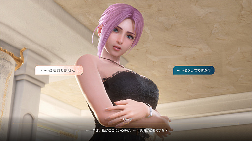 ꡼ No.019Υͥ / Υ󥿥ӥ塼ϥӡХ졼ɥ٥㡼ˡVenus Vacation PRISMפϡDOAXVVפ6ͤνλҤо