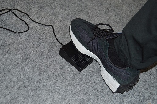 ꡼ No.004Υͥ / Ƨɤ롩ؤĤꤽˤʤȯʪΥߥ졼󥲡PIAץץ쥤ݡȡTGS2024