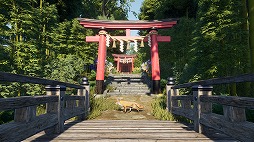 ꡼ No.007Υͥ / ԻԷߡ襷Sengoku DynastyסʥƥˡܸǤPS52025ǯ꡼ƥȥ쥤顼