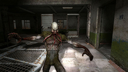 ꡼ No.010Υͥ / S.T.A.L.K.E.R.: Legends of the Zone TrilogyNintendo SwitchѥåǤ2025ǯ327ȯ