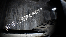 ꡼ No.004Υͥ / ԲĲʱ򻣱ƼθƤûԥۥ顼΢ΥݥסSteamۿϡ꡼ǰ1022ޤ