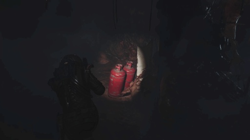 ���������꡼ No.027�Υ���ͥ������ / �Υץ쥤��ݡϿ��������Х��Х�ۥ顼��Cronos: The New Dawn�פϹ����٤����롣������̥�ϤǤ��ꡤ���̤�ã�����Ȱ��ȴ���̣�廊��