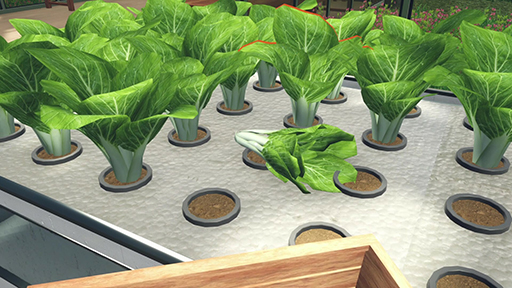 ꡼ No.008Υͥ / ȿʪƱƥǰƤȡ֥ݥ˥åפθǤ륷Hydroponics Farm & Store Simulatorסۿ