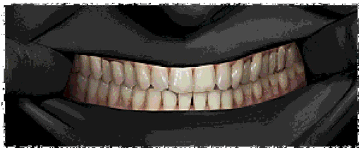 ꡼ No.009Υͥ / ҿͤϿʹ֤ ƤäƤˬԤ󥹥ȽǤۥ顼No, I'm not a HumanסSteamȥڡ