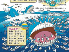 書籍「ポケモン生態図鑑」本日発売。生態学や行動学の視点からポケモンずかんを紐解く,ポケモン初の生態図鑑