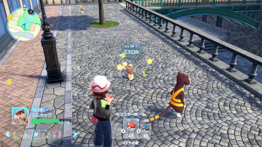 ꡼ No.015Υͥ / Υץ쥤ݡϡPokmon LEGENDS Z-AפΡȥꥢ륿Ʈɤ˻㤯ڤޤääݥ̣廊뿷ĩ