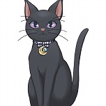 ���������꡼ No.020�Υ���ͥ������ / �͵��ܥɥ��֤ޤ�������ץ��꡼���������Ѥ�����Ѥ���̼��������ɡ֤ޤ�������ץ�󥻥���ȯɽ���������ߤΥ֥�å���ʷ�ϵ�����鸫��