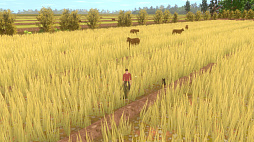 Forgotten Fields