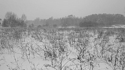 ロシアの精神科のパストラル