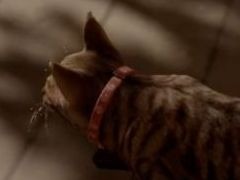 1ɤǭȤʤꡤԵ̣ʲԤƨʤ鵭򽸤롣õƥ륹֤ޤǭƨޤסۿ˷