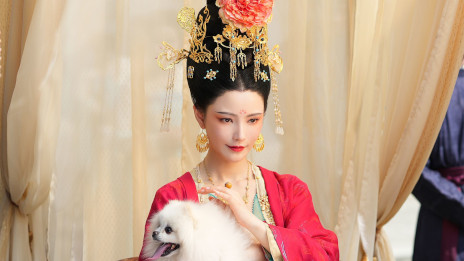 画像ギャラリー No.003のサムネイル画像 / 実写インタラクティブADV「盛世天下〜女帝への道〜」,PC/スマホ向けにリリース。女帝「武則天」の生涯を題材として,命がけの権力争いを描く