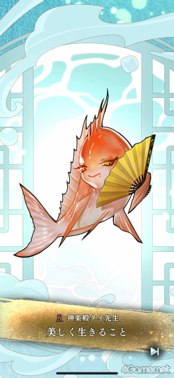 ꡼ No.023Υͥ / Υץ쥤ݡϥ꡼ǿʤ ζܤοҡסȬդȤδطŤź̤ʻ֤θ