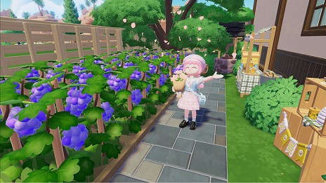 ꡼ No.010Υͥ / ץɤ襷֥ϡȥԥ饤ա1CBT1151200鳫šüԤˡ֥֥롼٥꡼פץ쥼