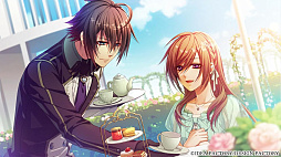 Glass Heart Princess for Nintendo Switch