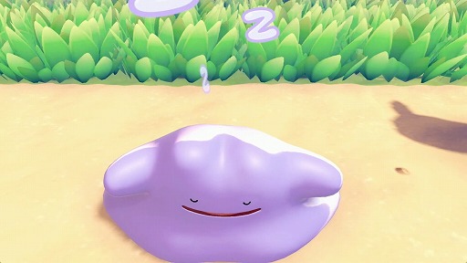 画像ギャラリー No.006のサムネイル画像 / ニンゲンに変身したメタモンとなり,ポケモンたちとのほのぼの暮らしを楽しめる「ぽこ あ ポケモン」発表。Switch2向けに2026年春発売