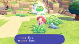 画像ギャラリー No.011のサムネイル画像 / ニンゲンに変身したメタモンとなり,ポケモンたちとのほのぼの暮らしを楽しめる「ぽこ あ ポケモン」発表。Switch2向けに2026年春発売