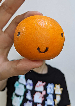 画像ギャラリー No.012のサムネイル画像 / 「G-MODEアーカイブス+ 探偵・癸生川凌介事件譚」Vol.1〜20を前編,後編に分けて収録。Switch向けパッケージ版が2026年1月29日に発売決定