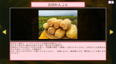 画像ギャラリー No.005のサムネイル画像 / 岩国市が舞台のパズルゲーム「IWAKUNI QUEST」,9月25日に無料配信決定。「錦帯橋」や「岩国城」を舞台に,キャラクターとの会話も楽しめる