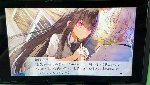 ꡼ No.010Υͥ / Steamǡ˹ɾפΥӥ奢Υ٥뤬SwitchءֱϤޤβơ׻ͷݡȡTGS2025