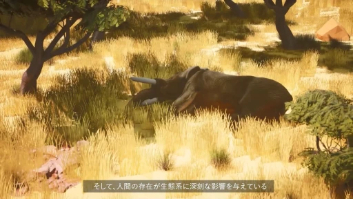 ���������꡼ No.011�Υ���ͥ������ / ���Ĥ���ưʪ���Ť���VR�������WILDLIFE DOCTOR�פ���ǥץ쥤���������ȴ��������¥�����פ�������ߺ��TGS2025��