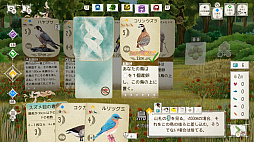 ꡼ No.001 | Birds and Cats