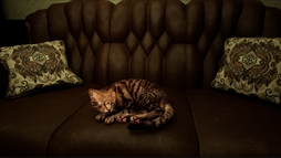 ꡼ No.001 | Meowmories -meowmare adventure-