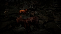 Meowmories -meowmare adventure-