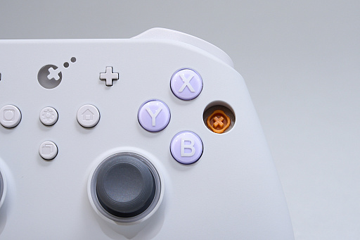 画像ギャラリー No.021のサムネイル画像 / SwitchもPCも遊ぶなら,フル対応のゲームパッドGuliKit「TT PRO Controller」「TT MAX Controller」はどうだろう? カスタム性も高く,お手頃価格だ